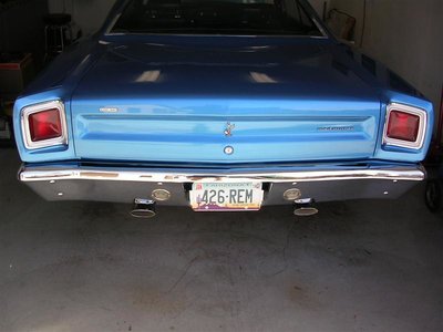 road runner 978 (Medium).jpg