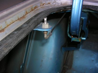 road runner 113 (Medium).jpg