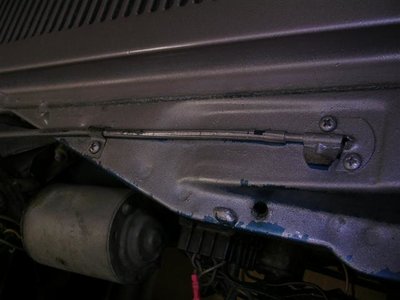 road runner 088 (Small).jpg road runner 088 (Small).jpg