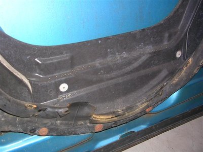 road runner 437 (Medium).jpg road runner 437 (Medium).jpg