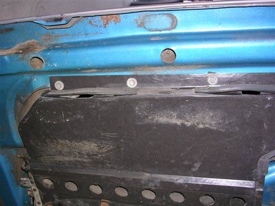 road runner 435 (Medium).jpg road runner 435 (Medium).jpg