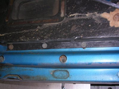 road runner 439 (Medium).jpg road runner 439 (Medium).jpg