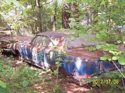 100_6767A.jpg
