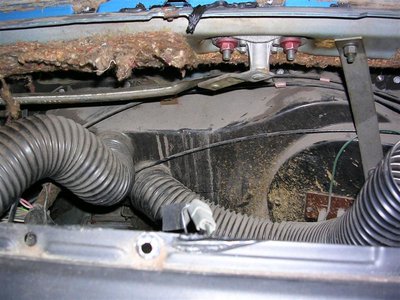 road runner 226 (Medium).jpg road runner 226 (Medium).jpg