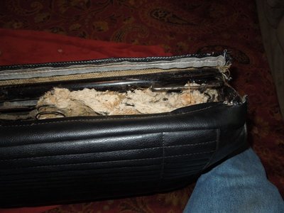 headrestDSCN246053.JPG headrestDSCN246053.JPG