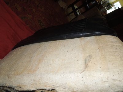 headrestDSCN246052.JPG headrestDSCN246052.JPG