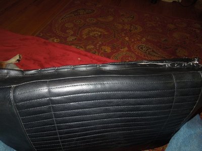 headrestDSCN246058.JPG headrestDSCN246058.JPG