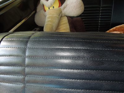 tlpDSCN255315.JPG tlpDSCN255315.JPG