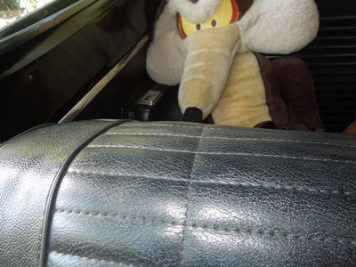 tlpDSCN255314.JPG tlpDSCN255314.JPG