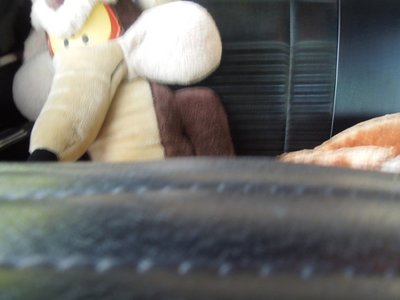 tlpDSCN255313.JPG tlpDSCN255313.JPG