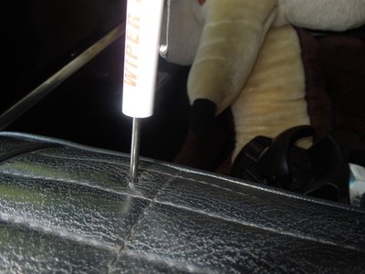 tlpDSCN255316.JPG tlpDSCN255316.JPG