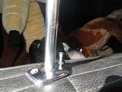 tlpDSCN255323.JPG tlpDSCN255323.JPG