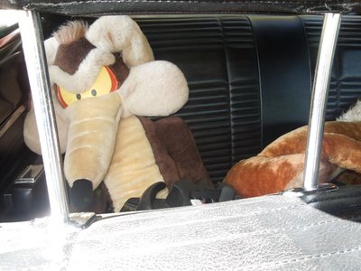 tlpDSCN255327.JPG tlpDSCN255327.JPG