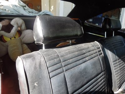 tlpDSCN255331.JPG tlpDSCN255331.JPG