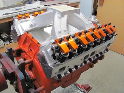 Tim Borrall 440 054.jpg Tim Borrall 440 054.jpg