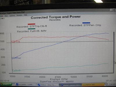 Tim Borrall 440 078.jpg Tim Borrall 440 078.jpg