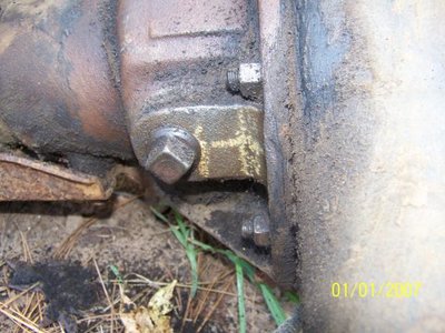 Tramp Stamp Pumplin.jpg Tramp Stamp Pumplin.jpg