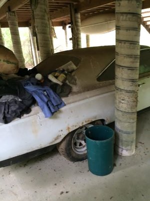 Roadrunner 2.jpg Roadrunner 2.jpg