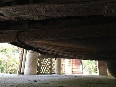 runner4.jpg runner4.jpg