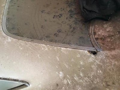 runner2.jpg runner2.jpg