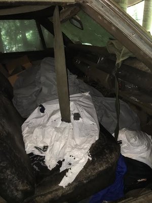 runner6.jpg runner6.jpg