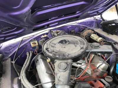 IMG_0374.jpg IMG_0374.jpg