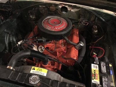 IMG_3780.jpg IMG_3780.jpg