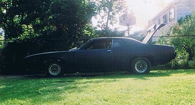 Back yard 4.jpg Back yard 4.jpg