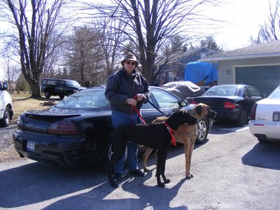 2008_0322Dogs0063.jpg