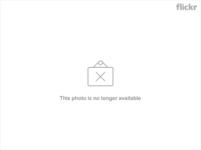 2737721302_503446a52a.png 2737721302_503446a52a.png