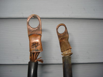 LateJune09002.jpg