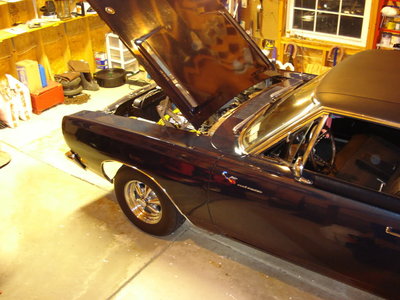 Life6-29-09008.jpg Life6-29-09008.jpg