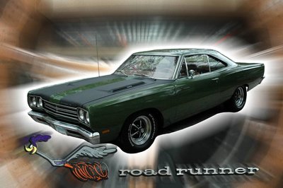 badbird.jpg badbird.jpg