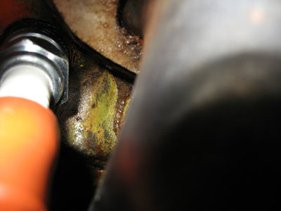 resto001.jpg resto001.jpg