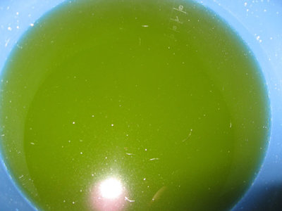 resto003.jpg resto003.jpg