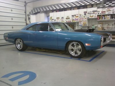 70Bee1.jpg 70Bee1.jpg