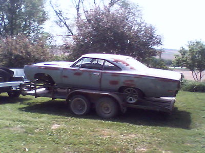 roadrunner2.jpg roadrunner2.jpg