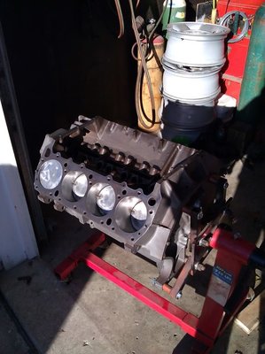 IMG_20111123_142746.jpg