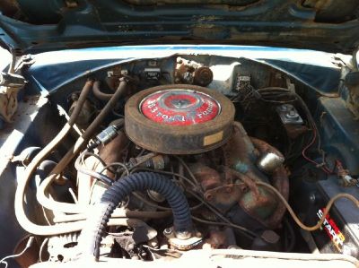 photo10.jpg photo10.jpg