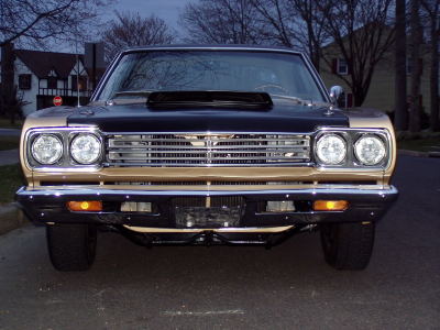 P1010311.jpg P1010311.jpg