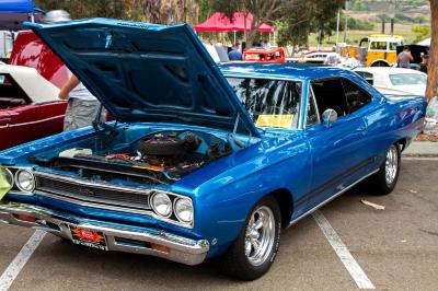 IMG_2340_edited-1.jpg IMG_2340_edited-1.jpg