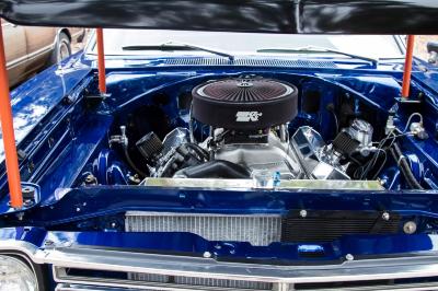 IMG_2342_edited-1.jpg IMG_2342_edited-1.jpg