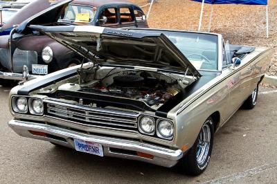 IMG_2358_edited-1.jpg IMG_2358_edited-1.jpg