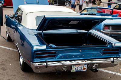 IMG_2354_edited-1.jpg IMG_2354_edited-1.jpg