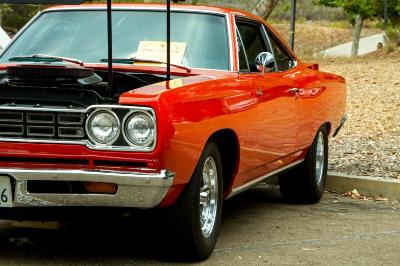 IMG_2588_edited-1.jpg IMG_2588_edited-1.jpg