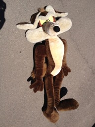 IMG_0337.jpg IMG_0337.jpg