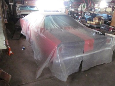 7424412-IMG1261.jpg