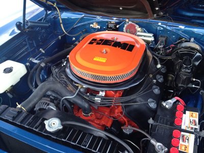 IMG_1785.jpg IMG_1785.jpg