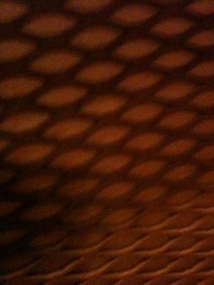 nash mesh 2.jpg