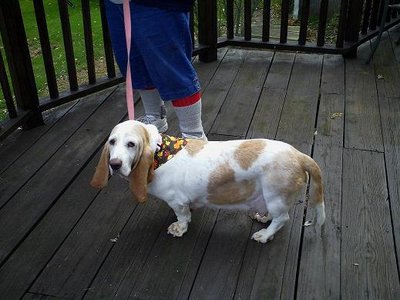 IMAG0031.JPG IMAG0031.JPG